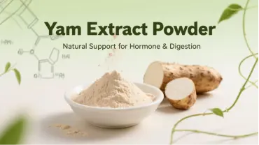 Wild yam root tablets