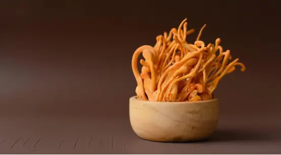 Cordyceps Militaris Tablets Cordyceps Militaris Tablets