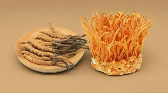 Cordyceps Militaris Tablets Cordyceps Militaris Tablets