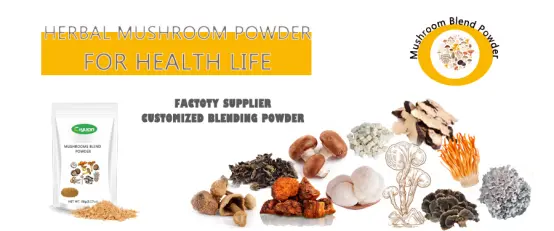 Best reishi mushroom tea