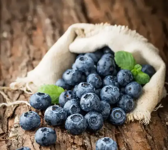 Wild blueberry tablets