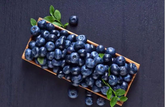 Wild blueberry tablets