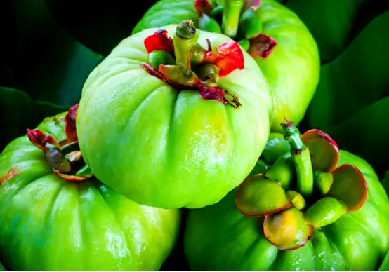  Garcinia Cambogia Extract Tablets
