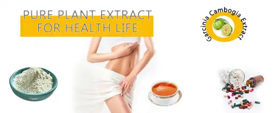 Garcinia Cambogia