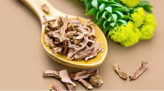 Rhodiola