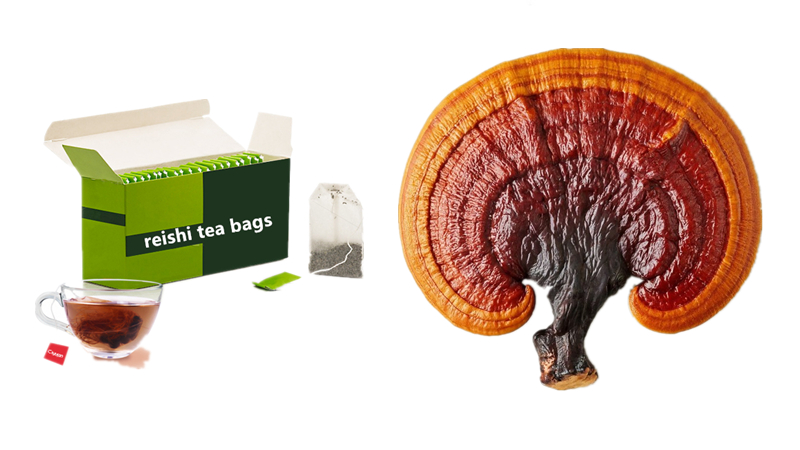 Best Reishi Mushroom Tea