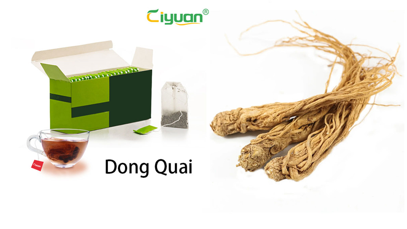 How does  Dong Quai Tea bags fertility?