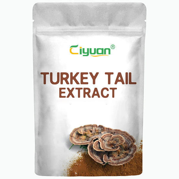 Is Coriolus versicolor good for gut health?