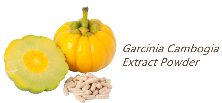 Customized Garcinia Cambogia Private Label