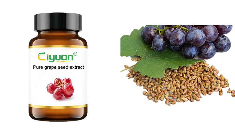 What is Grape seed pills, and what are its benefits?