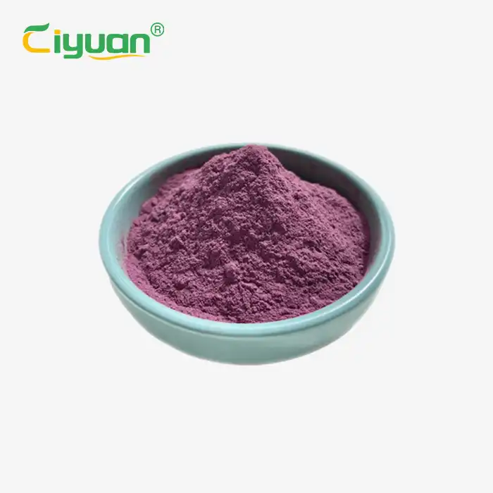 বন্য ব্লুবেরি নির্যাস পাউডার
