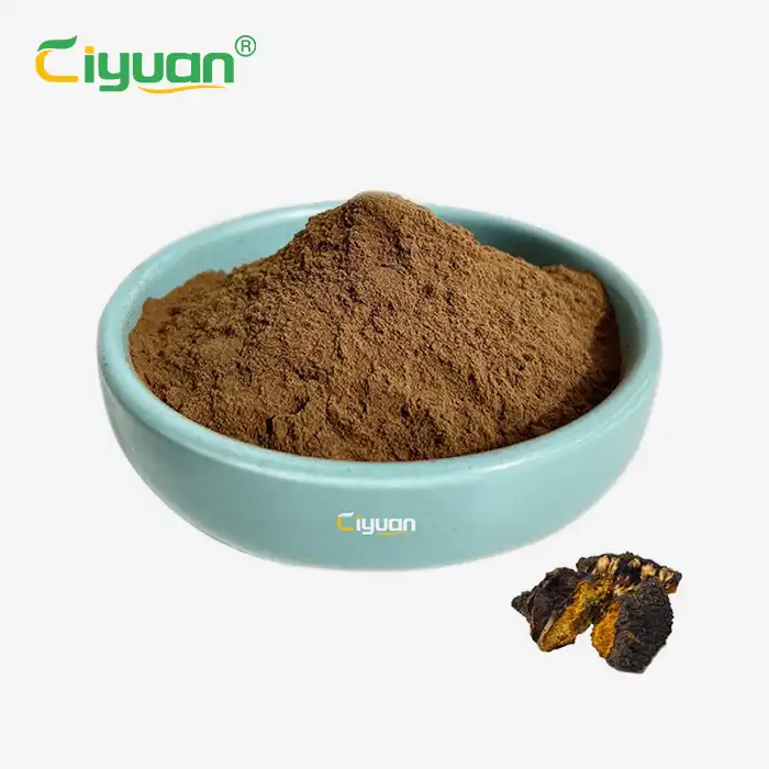 চাগা মাশরুম ট্যাবলেট