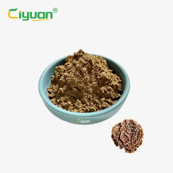 কোরিওলাস ভার্সিকলার ট্যাবলেট